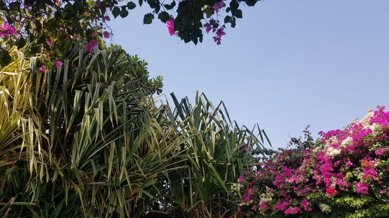 Villa Met Prive Zwembad In Residence Safari Village Saly Portudal Eksteriør bilde