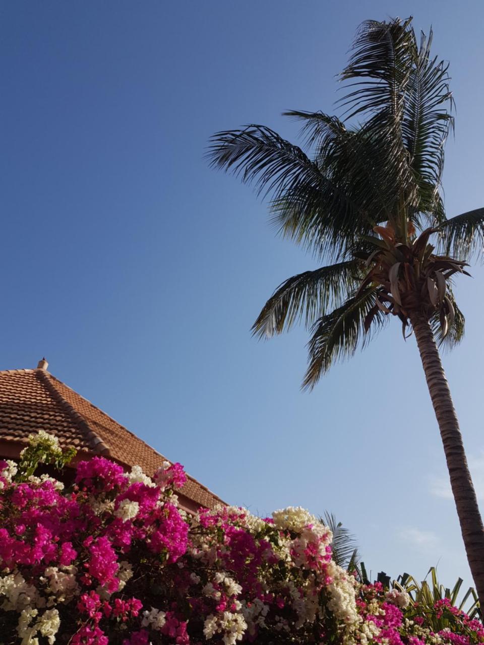 Villa Met Prive Zwembad In Residence Safari Village Saly Portudal Eksteriør bilde
